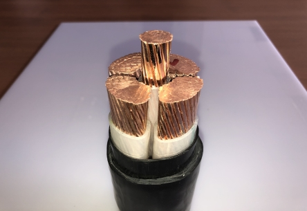 案例展示